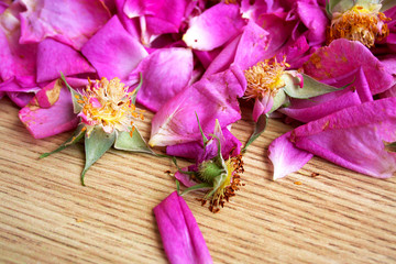 Petals dark pink tea rose.