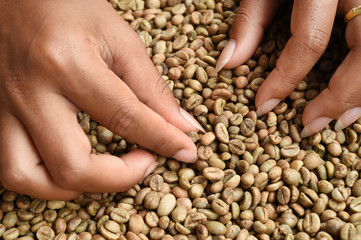 Close up of coffee beans for background