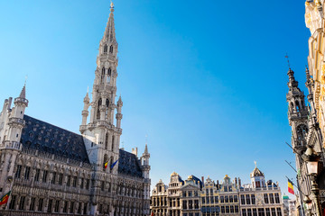 Obraz premium The Grand Place is the central square of Brussels. It is surrounded by opulent guildhalls and two larger edifices, the city's Town Hall, and the Breadhouse