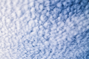Abstract rounded texture of altocumulus clouds