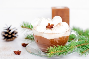 Winter hot drink. Christmas hot cocoa with marshmallow and spices
