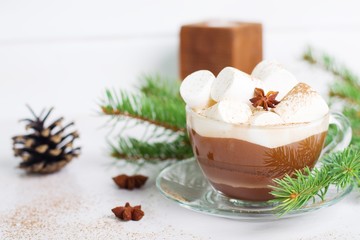Winter hot drink. Christmas hot cocoa with marshmallow and spices