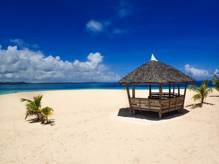 Beach Hut and Young Coconut Trees