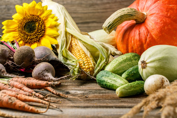 autumn harvest in rustic
