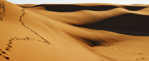 Fototapeta na wymiar Maranjab desert dunes