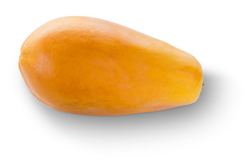 ripe papaya fruit holland species isolated on white background w