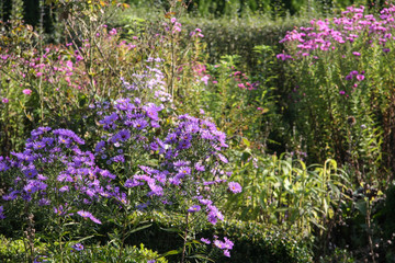 bunter Herbstgarten