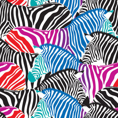 Black and colorful zebra seamless pattern.  Savannah Animal ornament. Wild animal texture. Striped black and white. design trendy fabric texture, vector illustration.