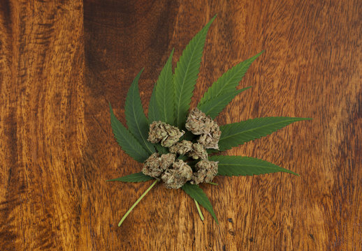 Cannabis sativa flower buds and leafs on wooden background