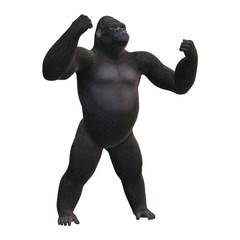 3D Rendering Gorilla on White