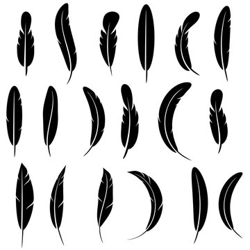 Feather Silhouette Collection Isolated on White Background