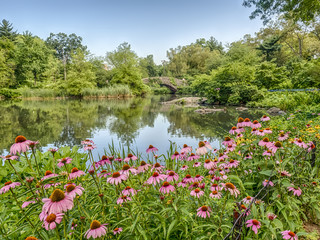 Obraz premium Gapstow bridge Central Park, New York City