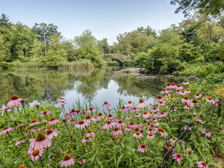Obraz premium Gapstow bridge Central Park, New York City