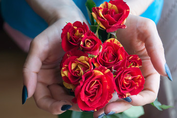 Bouquet of roses in female hands