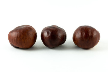 chestnuts