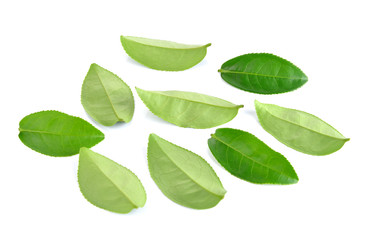 Green tea leaf isolated on white background