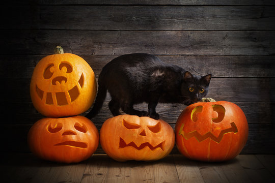 Halloween pumpkin and black cat on wooden background