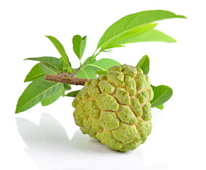 Custard apple on white background