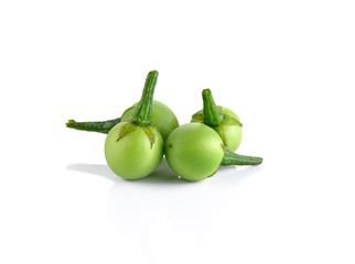 Solanum torvum on white background