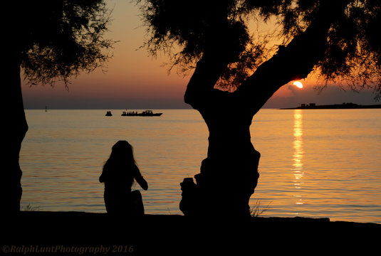 Sunset Silhouette 2