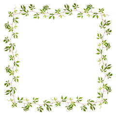 Frame made of parthenocissus twig with green leaves
