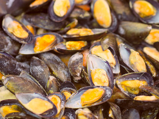 Frozen mussels with shells on fish market, view from top, fits as background