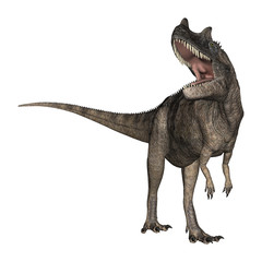 Fototapeta premium 3D Rendering Dinosaur Ceratosaurus on White