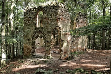 Church ruins in the middle of forest