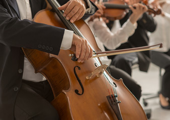 Cello player's hands close up