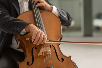 Fototapeta premium Professional cellist performing