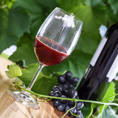 Wine glass with grapevine on a table. Delicious alcohol drink.