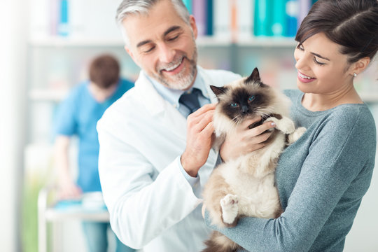 A woman with her cat at the veterinary clinic