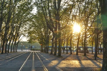 soleil sur les quinconces