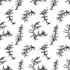 Seamless pattern with juniper brunches