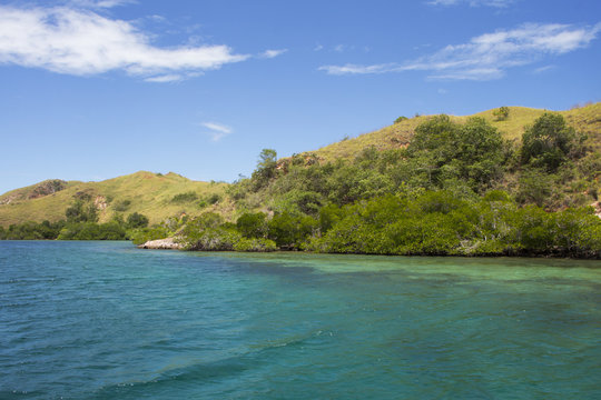 Rinca Island im Komodo-Nationalpark (Indonesien)
