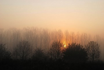 Obraz premium Aurore