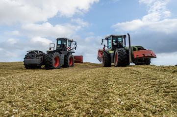 Obraz premium Maisernte - Silage verdichten