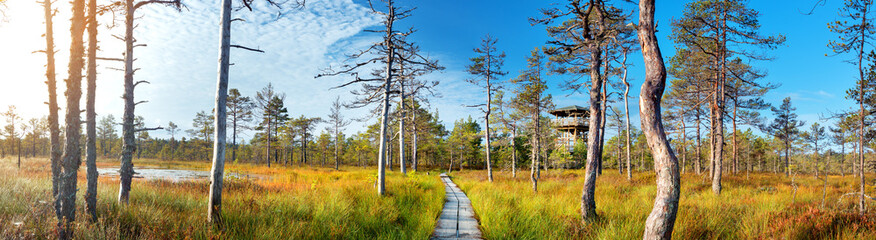 Viru bogs at Lahemaa national park in autumn. Wooden path at beautiful wild place in Estonia