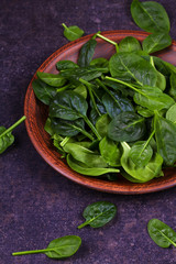 Green fresh baby spinach in rustic plate on dark wooden background. View from above, top studio shot