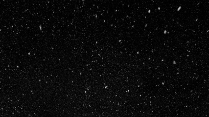 Falling down in slow motion real snowflakes from top to bottom calm snow, shot on black background,...