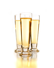 Pilsner Glasses of Beer