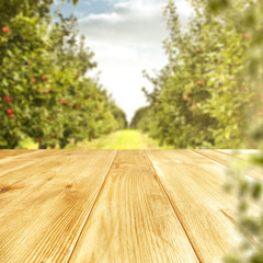 wooden desk and trees 