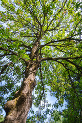 Letchworth State Park