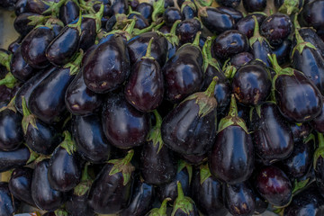Auberginen auf dem Markt