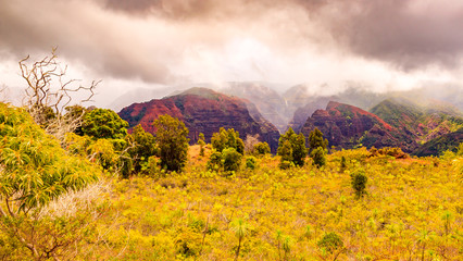 Obraz premium Kauai in Hawaii