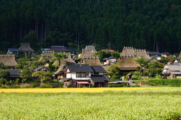 Fototapeta na wymiar 茅葺の里 秋の美山 蕎麦の花 country landscape of Japan in autumn