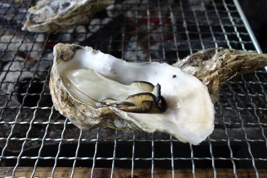生牡蠣の網焼き