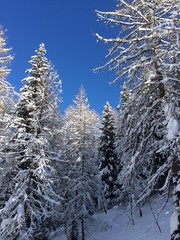 Frosty sky