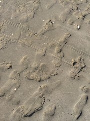 Footprints