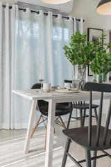 modern dinning room with black modern chair and vase of plant